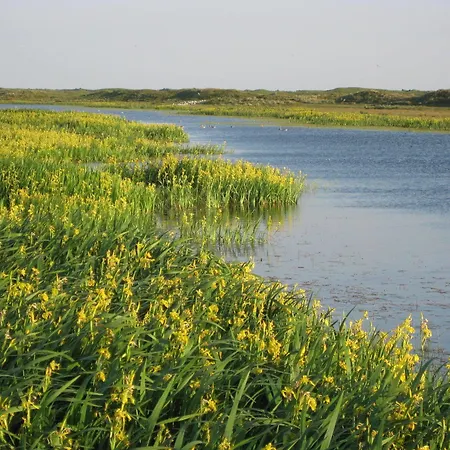 Apartment Residentie Californie