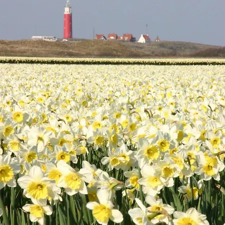 Residentie Californie *