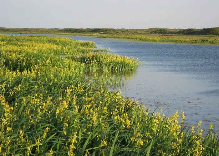 Appartement Residentie Californië