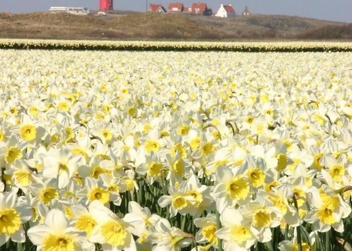 Residentie Californië *